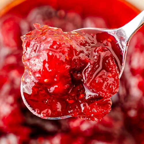 spoon full of cranberry sauce above bowl of cranberry sauce